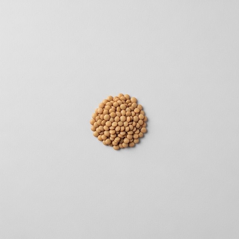 Beans & lentils